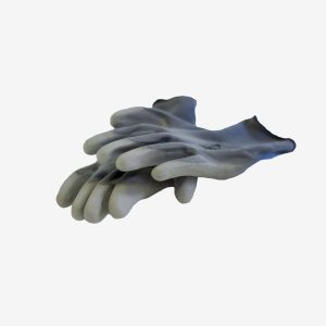 GANTS